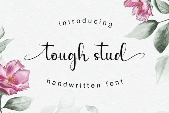 Tough Stud Script & Handwritten Font By cavalera creative