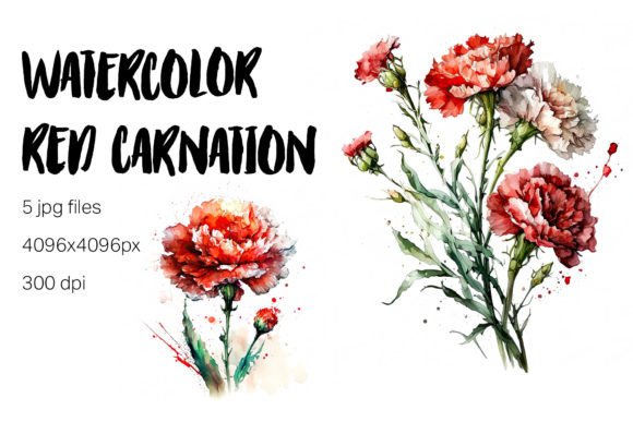 Watercolor Red Carnation Clipart Graphic Illustrations By Cosas Molonas