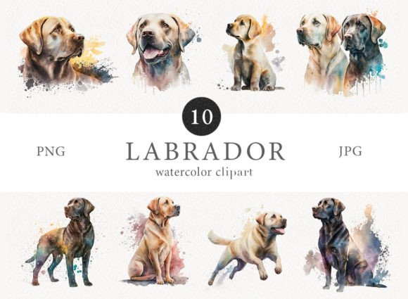 Labrador Watercolor Clipart Set Illustration Illustrations Imprimables Par NassyArt