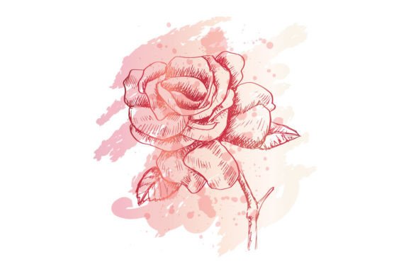 Hand Drawn Sketch of Rose Flower Graphic Crafts By han.dhini