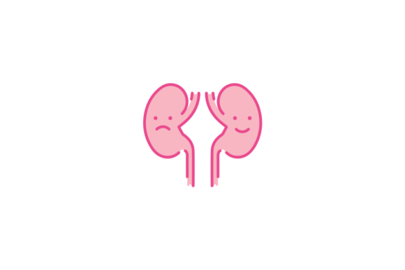 Healthy Happy Kidney and Sad Unhealthy Graphic Graphic Templates By nipnoob