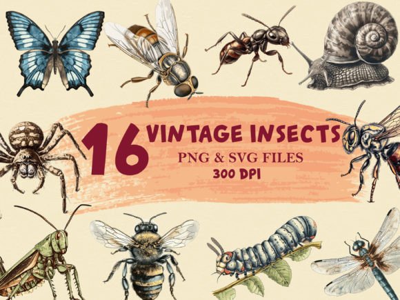 Vintage Insects Clipart PNG & SVG Bundle Graphic AI Illustrations By DenizDigital