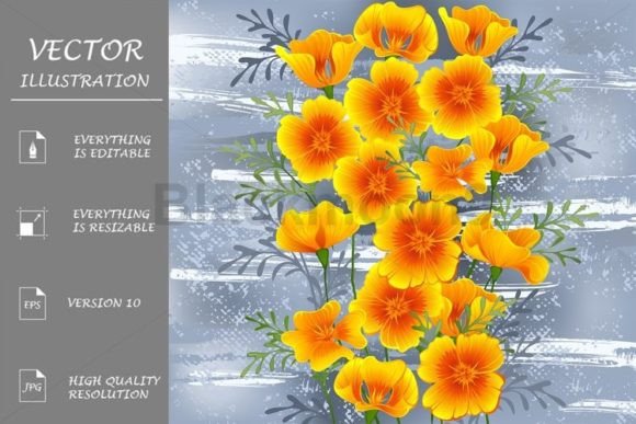 California Poppy on Gray Background Graphic Illustrations By Blackmoon9