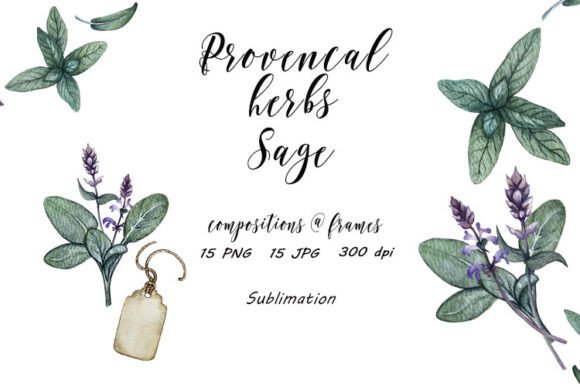 Sage Provence Herbs Sublimation JPG, PNG Graphic Illustrations By BudovskayaArt