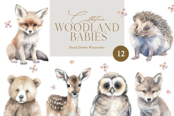 Watercolor Woodland Animals Graphic Illustrations By NassyArt