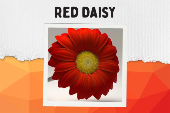 Ruby Sparkle: Red Daisy Graphic AI Graphics By WonderWallArt