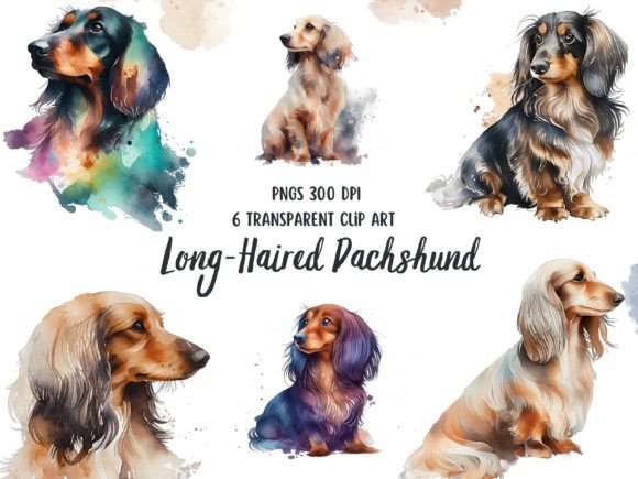 Long-Haired Dachshund Watercolor Clipart Graphic Illustrations By Patternexus