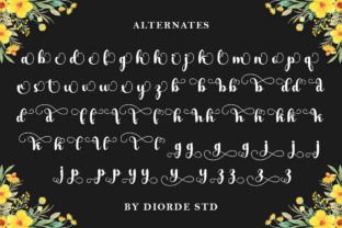 Aeylina Script & Handwritten Font By Diorde Studio 5