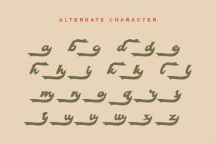 Vintage Fortuin Skript-Schriftarten Schriftart Von Nadiratype 8