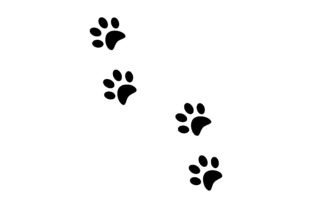 Pads of Cat Paws. Kitty Paw Prints. Pets Afbeelding Afdrukbare Illustraties Door RNko