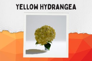 A Yellow Hydrangea Canvas Graphic AI Graphics By WonderWallArt 4