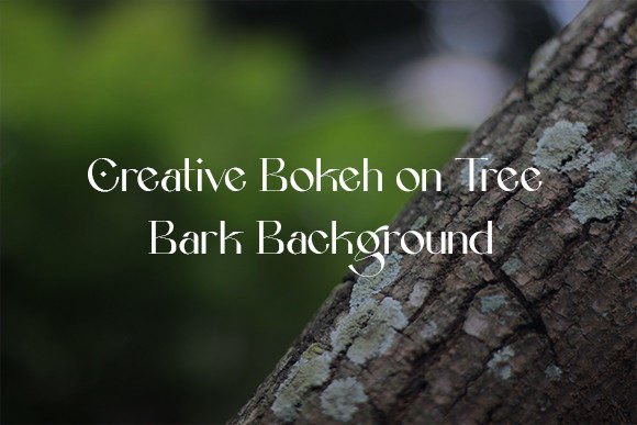 Creative Bokeh Tree Bark Background (16) Graphic Nature By Zamera Studio
