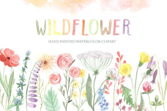 Watercolor Wildflowers Clipart PNG Graphic Illustrations By Larysa Zabrotskaya
