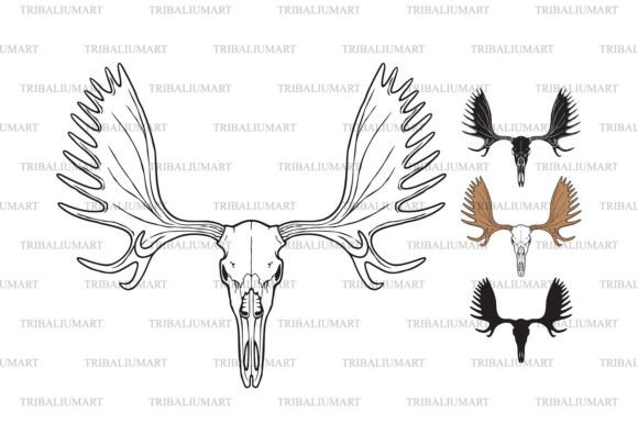 Moose Skull with Antlers Graphic Illustrations By TribaliumArt