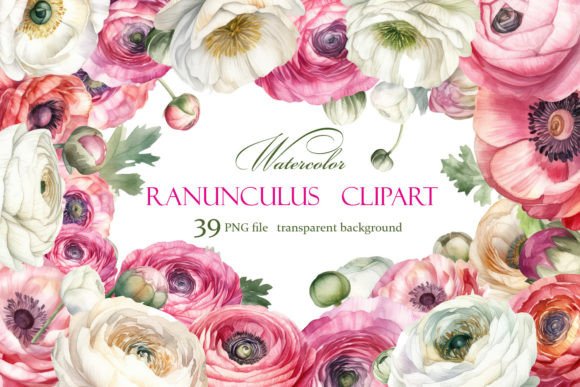 Ranunculus Clipart, Watercolor Floral Graphic Illustrations By ElenaZlataArt