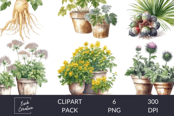 Herbalist Common Plants Watercolor Vol 2 Graphic Illustrations By Esch Creative