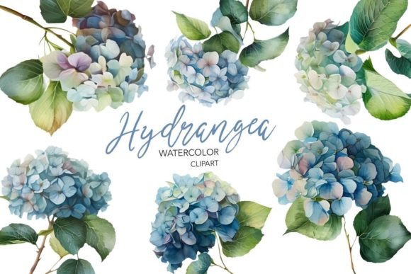 Watercolor Hydrangea Clipart Graphic Illustrations By NKTKNS