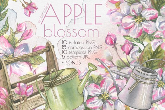Apple Blossom Clip Art Watercolor Gráfico Ilustrações para Impressão Por Natasha Chu