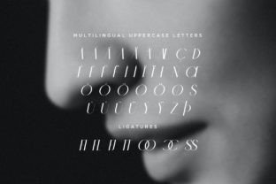 Chic Italic Sans Serif Font By Mikhail Fukurou 3