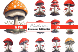 Watercolor Cute Mushroom Clipart Set Graphic Illustrations By Graphicswizard 1