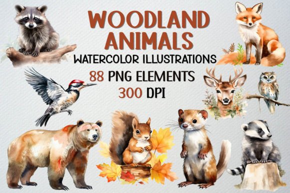 Woodland Animals Watercolor Cliparts Graphic Illustrations By beyouenked