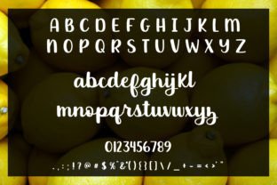 Luscious Lemon Script Fonts Font Door stacysdigitaldesigns 2