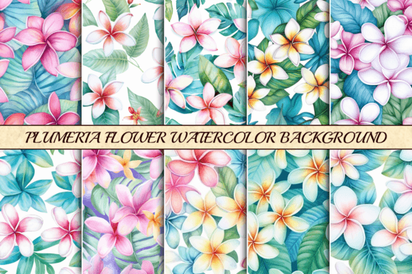 Plumeria Flower Watercolor Background Graphic Backgrounds By SimpleStyles