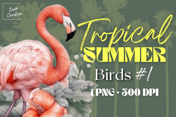 Tropical Summer Flamingo Watercolor Bird Graphic Illustrations By Esch Creative