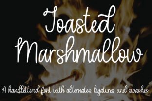 Toasted Marshmallow Script & Handwritten Font By stacysdigitaldesigns 1