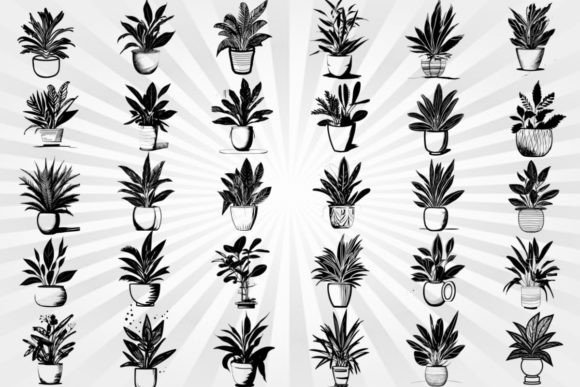 32 POT PLANTS in SVG & PNG FILES Graphic Illustrations By Papaya Woy