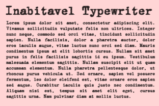Inabitavek Typewriter Serif Fonts Font Door Intellecta Design 3