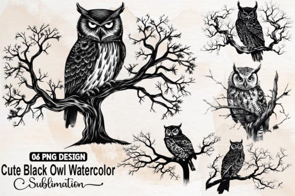 Cute Black Owl Sublimation Gráfico Ilustrações para Impressão Por Designartstore