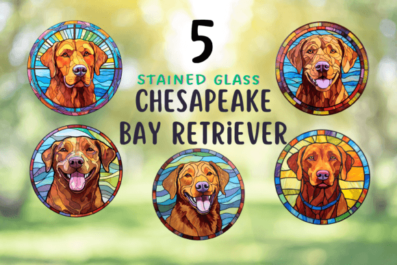 Stained Glass Chesapeake Bay Retriever Graphic Illustrations By TheClipartGuy