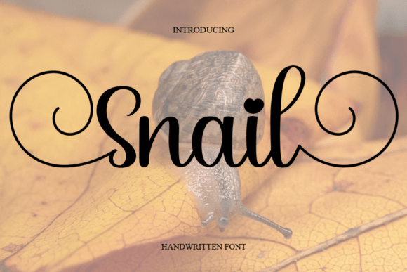 Snail Script & Handwritten Font By cans studio