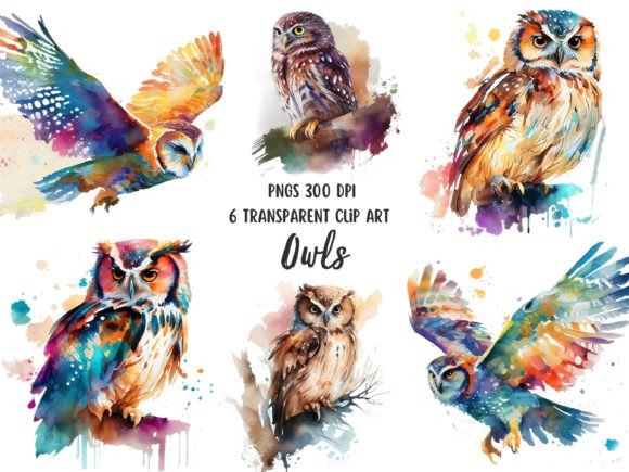 Owl Watercolor Clipart Set Graphic Illustrations By Patternexus