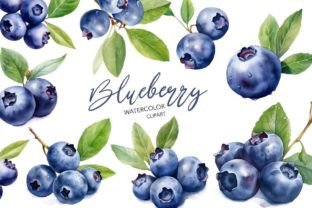 Watercolor Blueberry Clipart Graphic Illustrations By NKTKNS 1