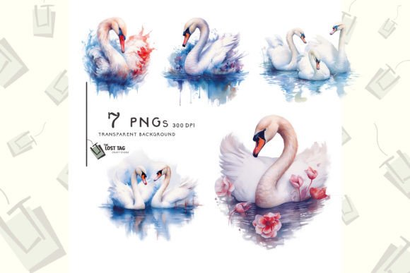 Watercolor White Swan Clip Art Bundle Graphic Illustrations By SVGbyCalligrapher