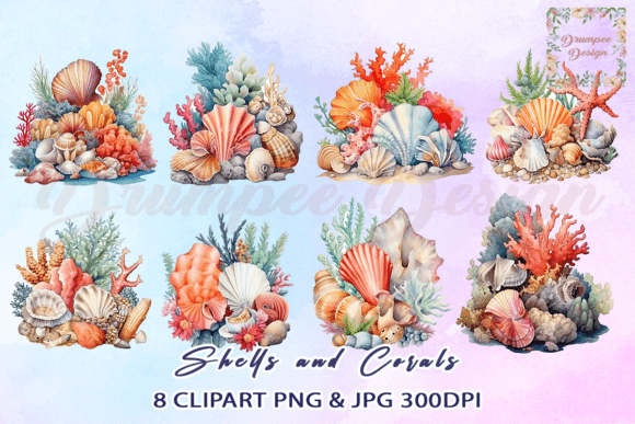 Shells and Corals Watercolor Clipart Graphic Illustrations By Drumpee Design