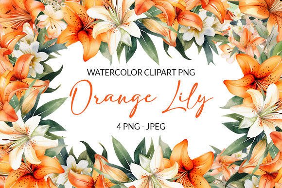 Orange Lily Watercolor Flowers Clipart Graphic Illustrations By Abdul Studio