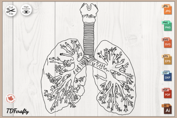 Lungs Outline Gráfico Ilustraciones Imprimibles Por TDFcrafty