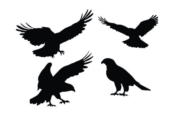 Wild Falcon and Hawk Flying Silhouette Gráfico Ilustraciones Imprimibles Por iftikharalam