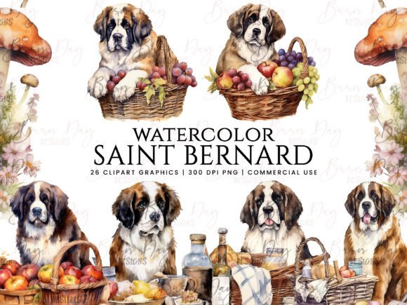 Watercolor Saint Bernard Clipart Bundle Graphic Illustrations By busydaydesign