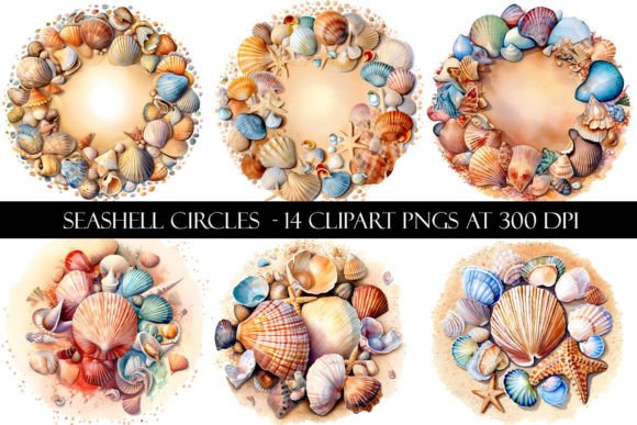 Seashell Circles Clipart Gráfico Ilustraciones Imprimibles Por Digital Paper Packs