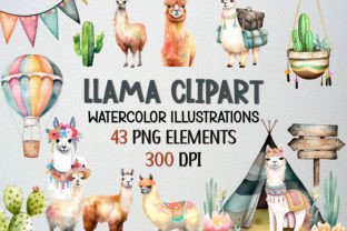Llama Clipart Set 43 PNG, Alpaca Clipart Graphic Illustrations By beyouenked 1