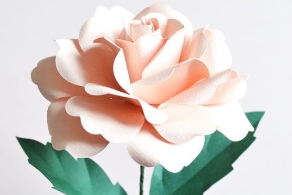 Garden Rose Paper Flower Papierblumen 3D SVG-Plotterdatei Von 3D SVG Crafts