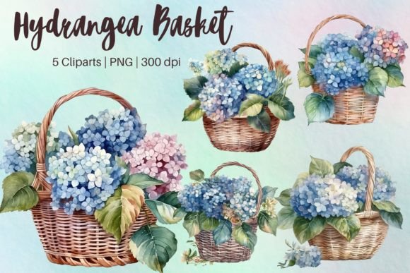 Hydrangea Basket Watercolor Clipart Graphic Illustrations By PimmyArt