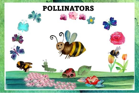 Pollinators Watercolour Clipart Gráfico Ilustraciones Imprimibles Por Rita Bischoff Pencz