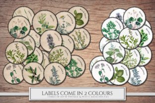 Herb Labels Graphic Illustrations By Secret Helper 4