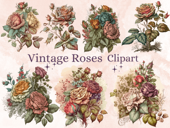 27 PNG Watercolor Vintage Rose Clipart Graphic AI Transparent PNGs By giraffecreativestudio