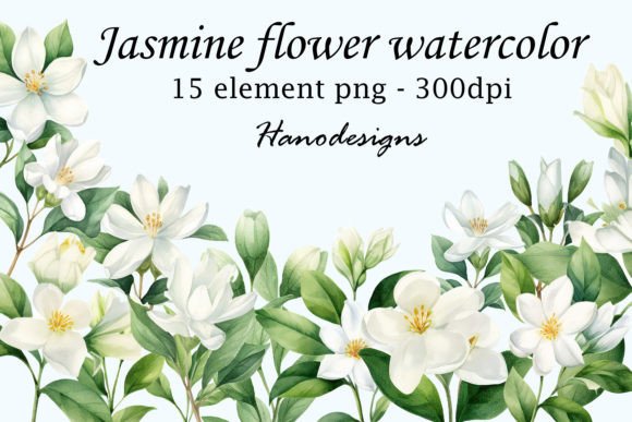 Jasmine Flower Watercolor Graphic Illustrations By Hanodesigns